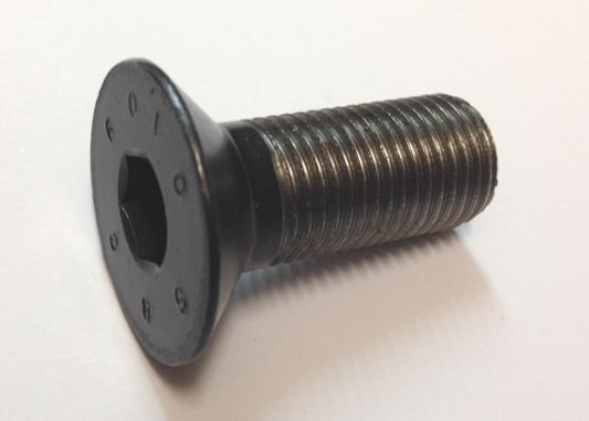 M10 x 1.25 x 20mm Countersunk Bolt